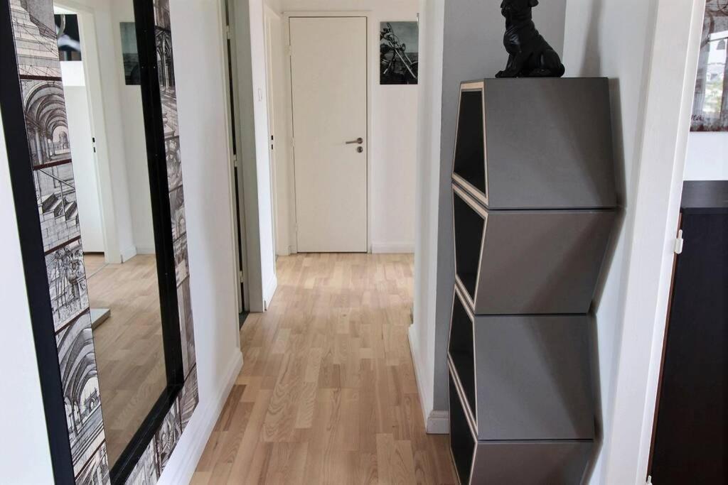 3 Pieces En Plein Centre De Strasbourg Apartment Exterior foto